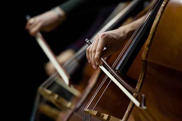 Workshop - Double Bass